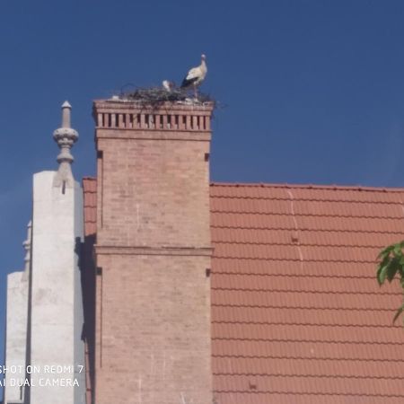 Apartamento Do Silva Mirandela Esterno foto